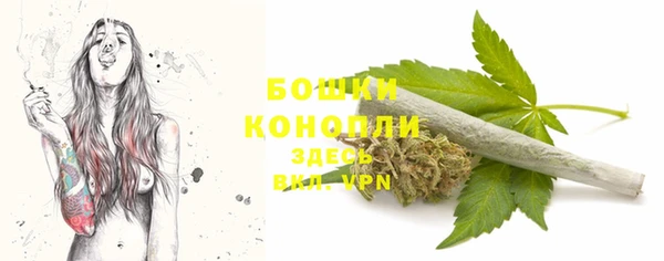 спайс Богданович