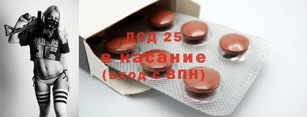 спайс Богданович