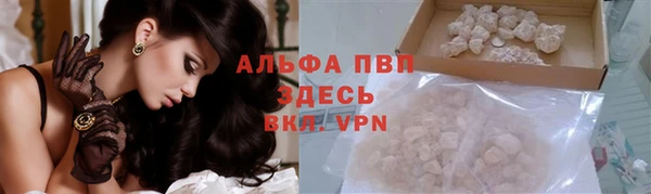 спайс Богданович