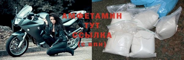 спайс Богданович