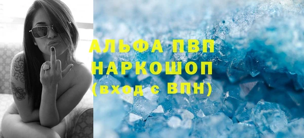 спайс Богданович