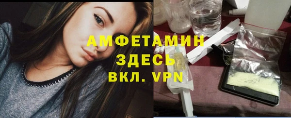 спайс Богданович